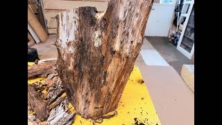 Stunning Grain… Ruined by Cracks? Bur Oak Crotch Turning