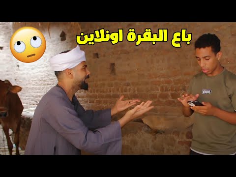 فصلان ضحك مع سوق البهايم 2024