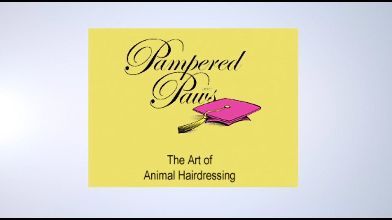 Pet grooming franchises available with Pampered Paws! Start your own