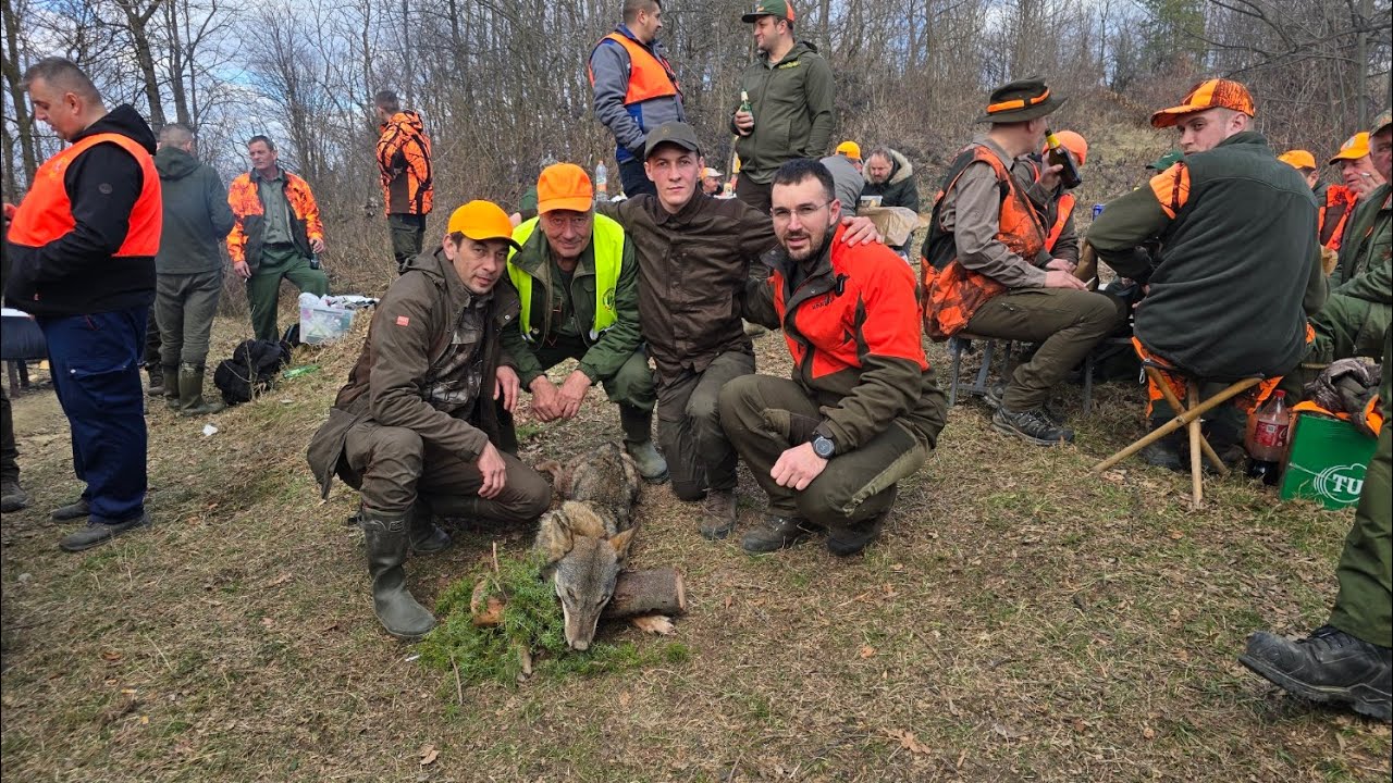 Hajka na vuka Maglaj - Ozren