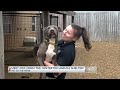 Pet of the week