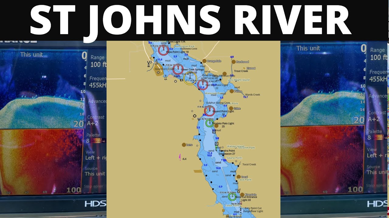 St Johns River Bass Fishing (Spring to Summer Transition)