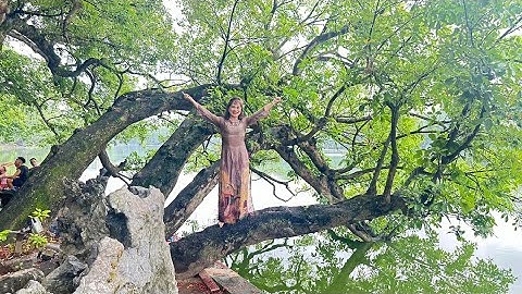 BIỂN VÀ THU 8 2024