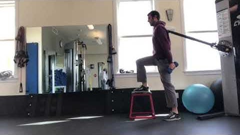 Step Up with Hammer Curl