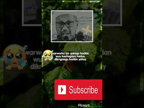 𝑺𝒉𝒆𝒊𝒌𝒉 𝒎𝒖𝒔𝒕𝒂𝒇𝒆 𝒙𝒂𝒋𝒊 𝒔𝒊𝒅𝒆𝒆 𝒍𝒐𝒐 𝒉𝒆𝒍𝒂𝒂 𝒅𝒂𝒈𝒂𝒏𝒂𝒏𝒔𝒉𝒐 