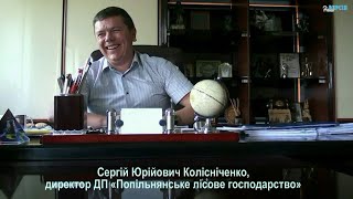 КРИМІНАЛЬНІ ЛІСИ ЖИТОМИРЩИНИ: ЗАНЕДБАТИ, — І ЗБАГАТИТИСЯ