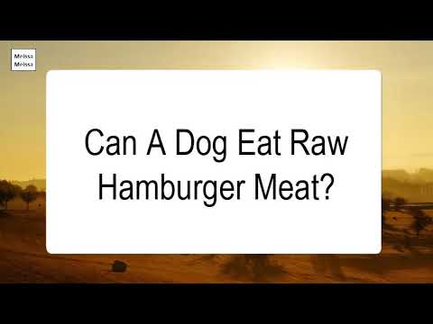 Can Dogs Eat Beef Patties