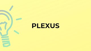 What is the meaning of the word PLEXUS