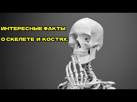 ✔️ИНТЕРЕСНЫЕ ФАКТЫ О СКЕЛЕТЕ И КОСТЯХ.