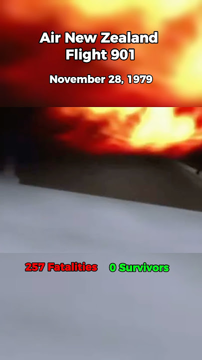 876 Fatalities Total is INSANE 😭❤️🕊️ R.I.P #shorts #aviation #edit