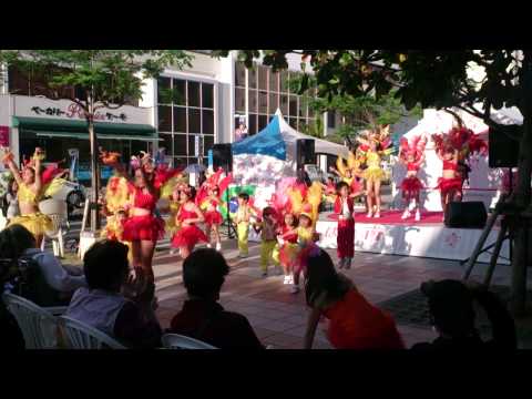 宮城姉妹 サンバ はいさい市 さいおんスクエア 2014.11.15