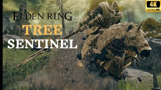 Is it worth killing the Mounted Tree Sentinel Early? - Elden Ring Boss Guide