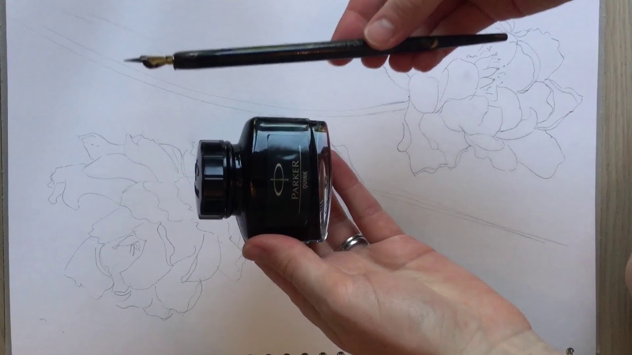 Line Drawing in Ink from Observation