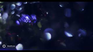 Light Leaks Element 84 - Free Video Footage