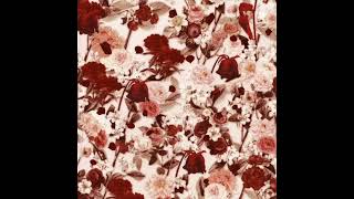 Celebrity D4vd: Always Love Ft. Hyunjin (Audio) Profile