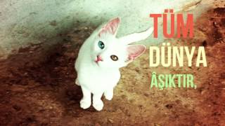 Hayki̇ B1R 923 İlçe 81 İl Türki̇ye