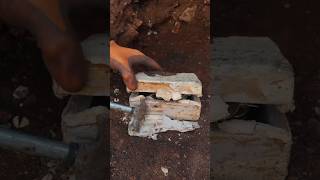 TREASURE HUNTER #gold #adventer #metaldetector #nature #satisfying #shorts