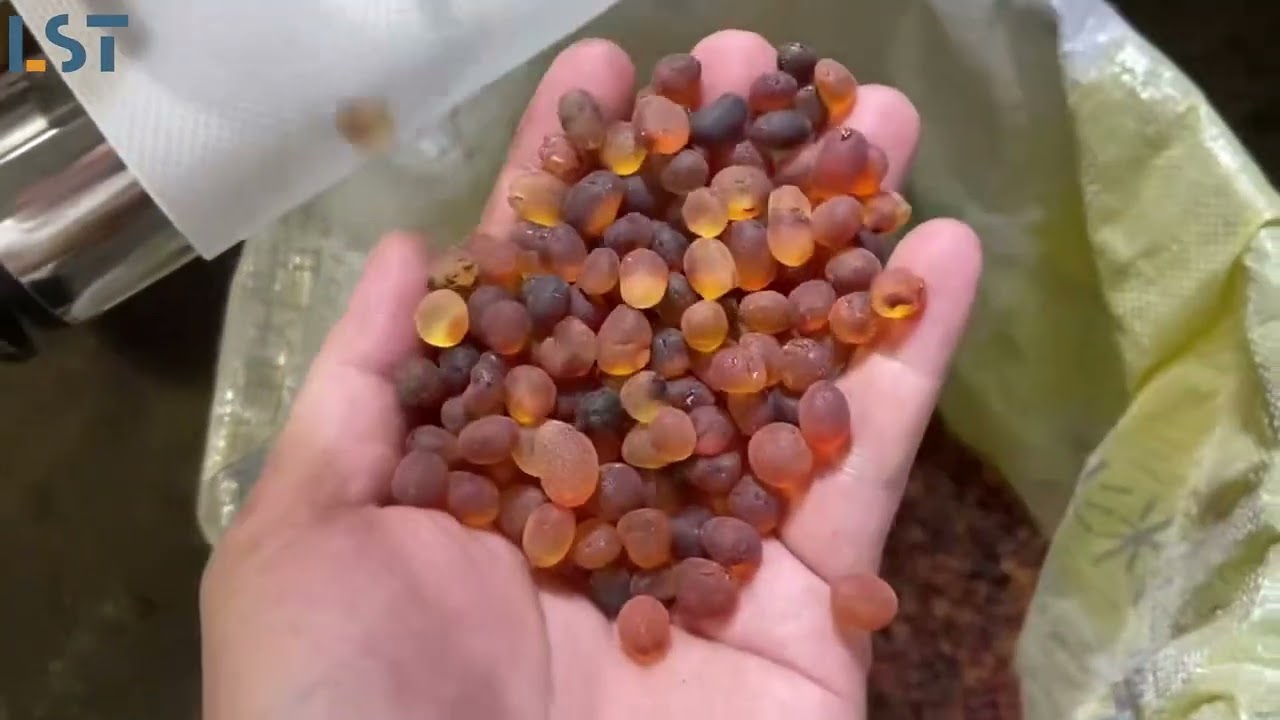 Peach gum color sorter