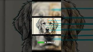 AI Animation Workflow: Instant Sketches, Huge Savings!