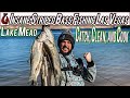 Las Vegas Fishing at Lake Mead = Striped Bass INSANITY! Catch, Clean, and Cook (EPIC)