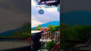 Doa Hari Ini Semoga youtubeshorts shorts short islamic islam motivasi islamic