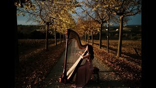 River Flows in You, Yiruma HARP - harp cover