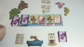 How to Play Solo Mode in Bonsai Board Game | Solo Game Rules for Bonsai