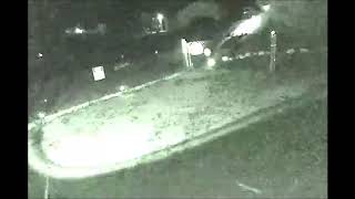 Coyotes & Bigfoot howling