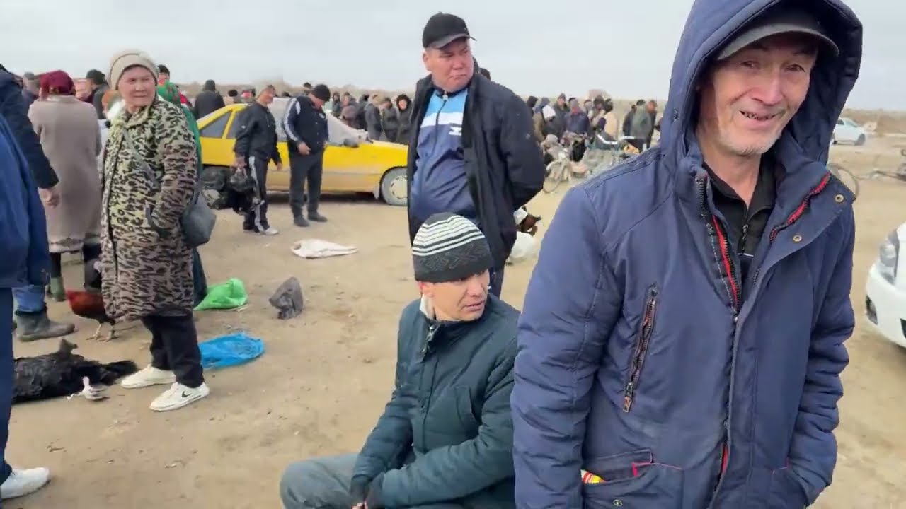 8-МАРТ/2026/ШЫМБАЙ ТАУЫК БАЗАРЫ/ТАУЫК БАЗАР 2026/ДЕМ БЕРМЕС ТАУЫК БАЗАР