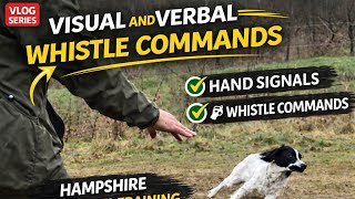 Visual verbal and whistle commands working Cocker Springer Spaniel Gundog Training