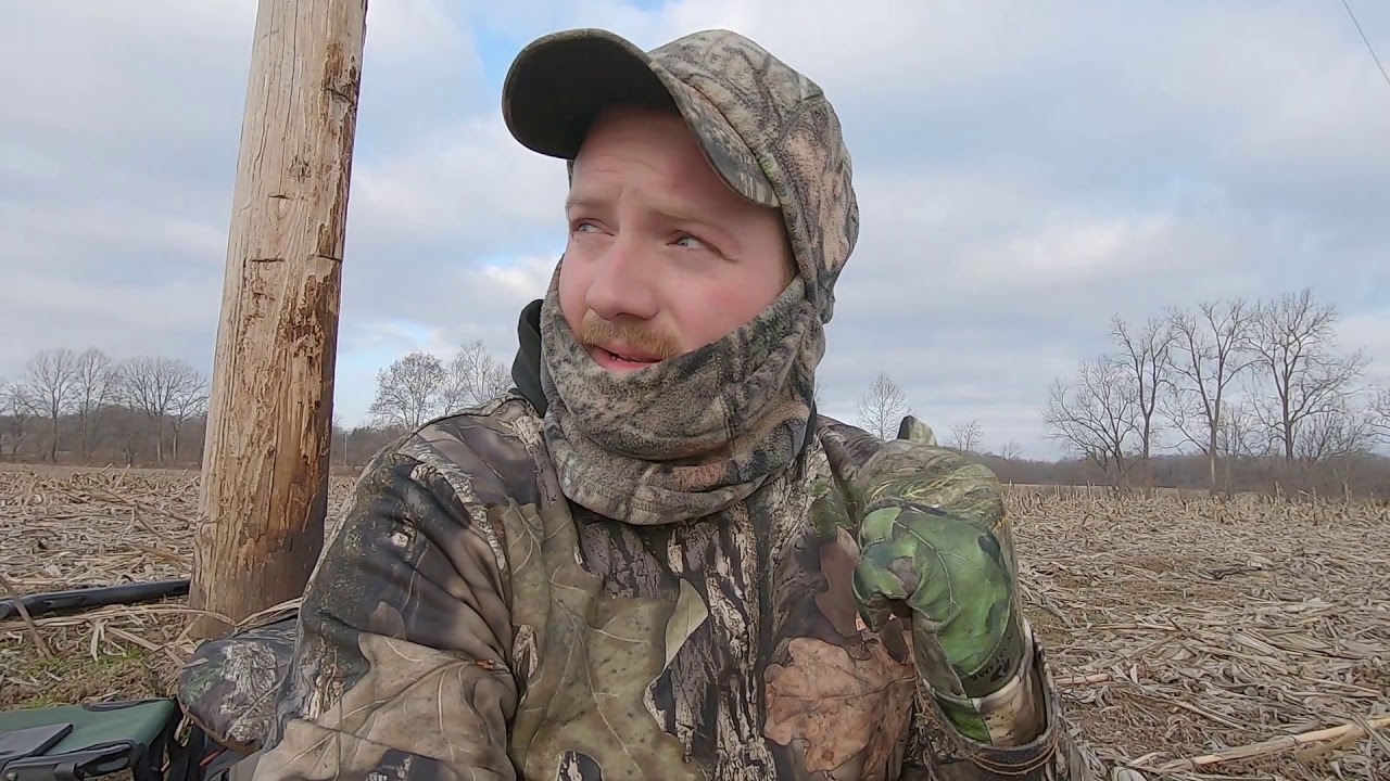 AIR RIFLE DOVE HUNT CHALLENGE!!! YouTube