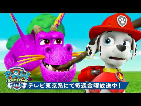 パウ・パトロール | PAW Patrolのアクションいっぱいパップタグ・マラソン！ | 1時間 | Rubble & Crew | テレビ東京系にて放送中