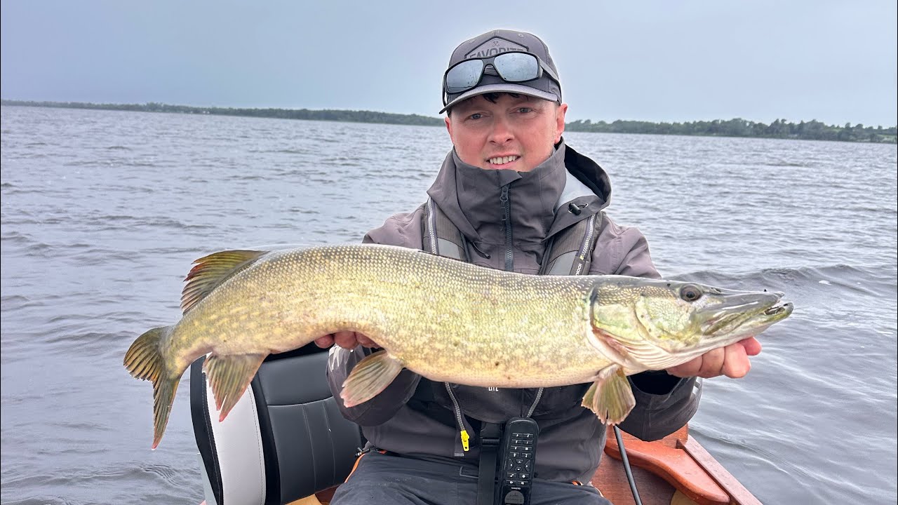 Stunning Pike & Big Perch Fishing on Lough Derg | Predator Fishing in Ireland