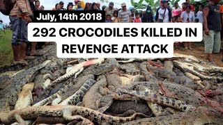 292 crocodiles killed in Papua, Indonesia | Cerita dibalik pembantaian buaya di Sorong by Now You Know [Voice for Animals] 679 views 5 years ago 1 minute, 34 seconds