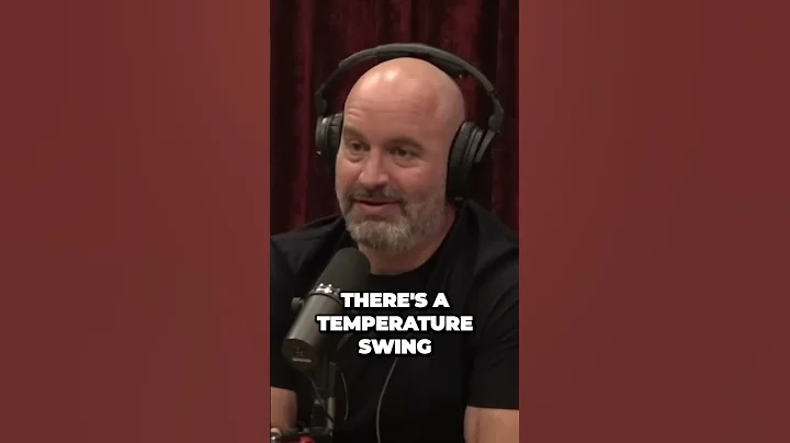 McDonald's Fish Filet Unveiled: Shocking Facts You Won't Believe!😱