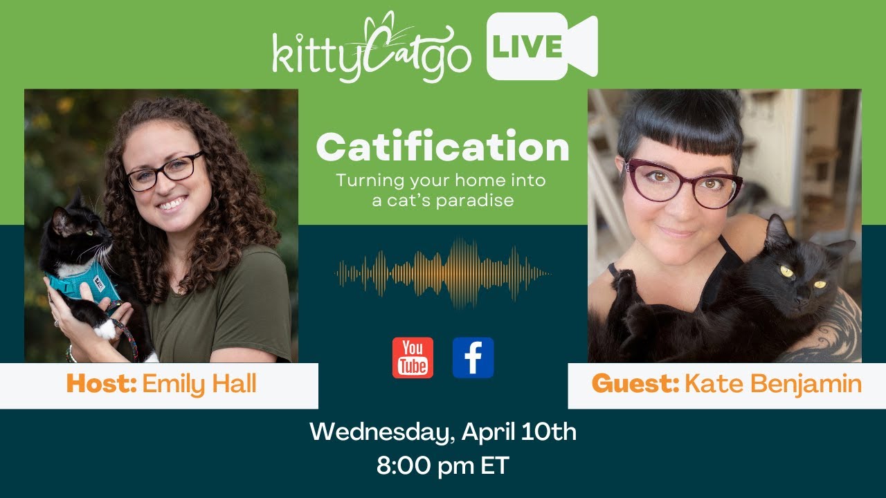 KittyCatGO LIVE with Kate Benjamin - Catification