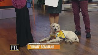 PTL Pupdate: Roberto learning his commands