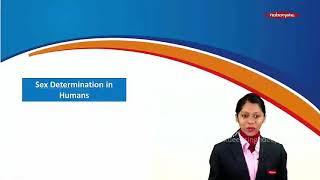 CBI part 13