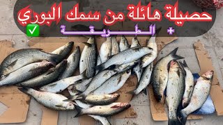 صيد سمك البوري بالطريقة الصحيحة ✅ (تقواس على المباشر) 👌🏻+ الحصيلة النهائية ♥️