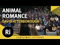 The languages of animals: Be mine - David Attenborough's 1973 Christmas Lectures 2/5