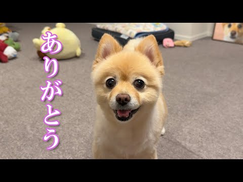 視聴者の皆様、ありがとうございました!