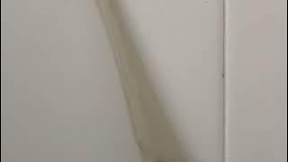 588. Kohler Toilet At Cold Stone Creamery 