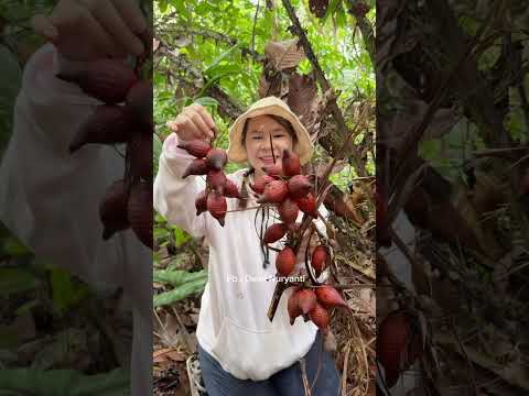 Saat terdampar ke di hutan yang banyak buah liarnya