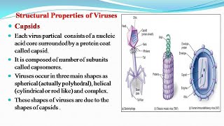 Viral Capsids