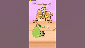 Cheetah and gal HIDE AND SEEK LEVEL 795 || Cat Escape Infinity || #hide #games