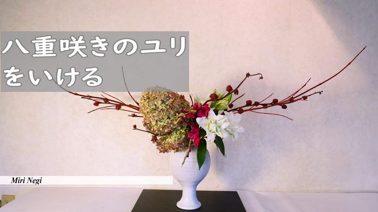 ユリ(Julyの花火！) アルルの女序曲　　淡いピンク ＪＵｋ Ｅ ユリ(Julyの花火！) アルルの女序曲 淡いピンク JUk E