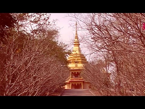 Robert Rossi - "Wat Pa Phon Phao" (Luang Prabang - Laos)