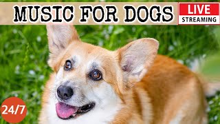 [LIVE] Dog Music?Dog Calming Music for Dogs Deep Sleep??Separation Anxiety Music for Dog Relaxation?