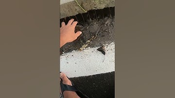 Remove Trash Clogged On Water Gate #drain #unclog #remove #culvert #shorts