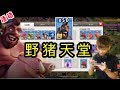 第242期 娛樂性分享 50隻豬做活動 與  部落戰 野豬流｛clash of clans部落衝突｝